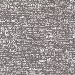 TIMBER 55552 22 Mud National Parks Sweetwater Moda