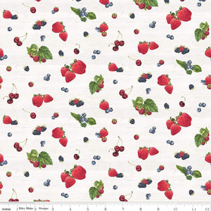 MONTHLY PLACEMATS c12411 June Placemats Off-white Tara Reed Riley Blake