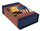 AMERICAN HONOR KT 17090 KIT Panel Eagle Riley Blake
