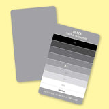 ESSENTIAL COLOR CARD DECK 20527 Color Matching Cards Joen Wolfram C & T Publishing