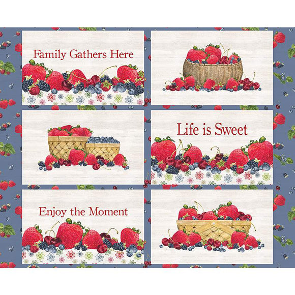 MONTHLY PLACEMATS PD12410 June Placemats Panel Tara Reed Riley Blake