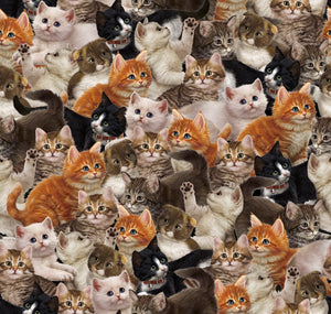 LITERARY KITTIES 28236 X Packed Kitties Multi Image World Quilting Treasures
