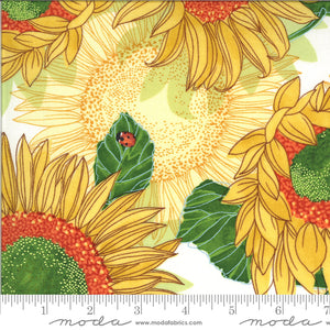 SOLANA 48680 11 Creme Sunflowers Robin Pickens MODA