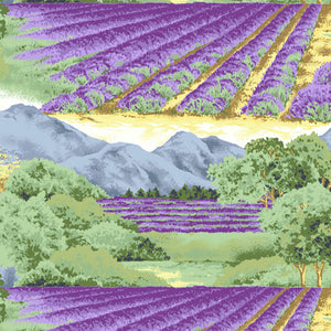 LAVENDER BLISS 5782 P Landscape Lavender Firetail Designs Andover