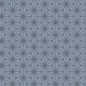 THE GREY COLLECTION A 8031 CK Stars Grey Andover FQ