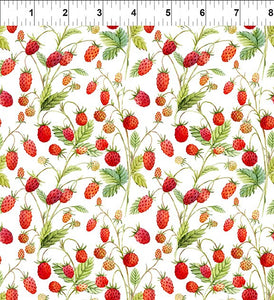 HEDGEHOG HOLLOW 8HH 1 White Strawberries In The Beginning