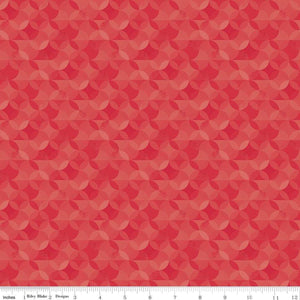 CRAYOLA CR480 Jazzberry Jam Kaleidoscope Design Riley Blake