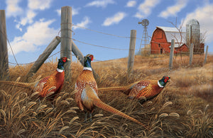 NATURESCAPES DP22702 14 Pheasant Run Tan Multi Rosemary Millette Northcott
