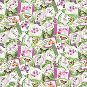 ORCHIDS IN BLOOM dp23869 74 Medallion Toss Michel Design Works Northcott