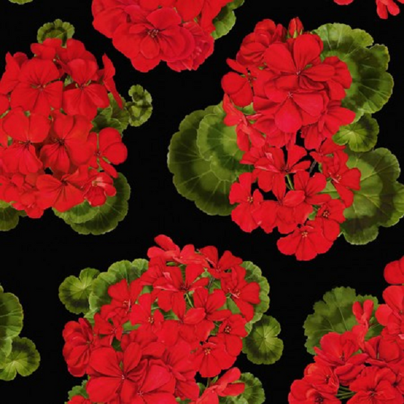 GERANIUMS c6382 Tossed Black Timeless Treasures