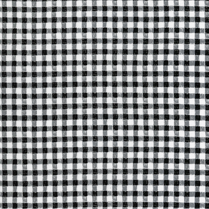 GINGHAM c5497 Piano Checks Timeless Treasures
