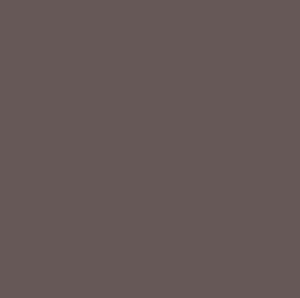 COTTON COUTURE SC5333 Taupe Michael Miller FQ
