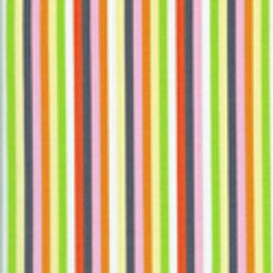 NOW WE’RE GOING PLACES C8363 Stripe Multi Monica Lee Timeless Treasures