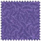 THYME 104 Thyme Purple Galaxy Maywood